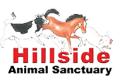 Hillside Animal Sanctuary logo