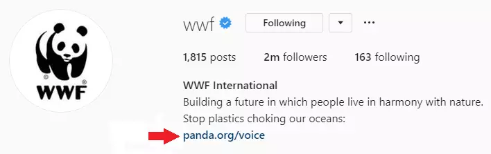An example of a brand using a link in their Instagram bio.