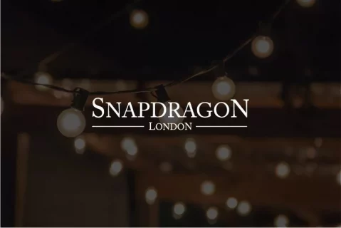 Case study Snapdragon London