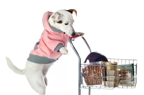 GoUp-Dog-Buying-Cycle