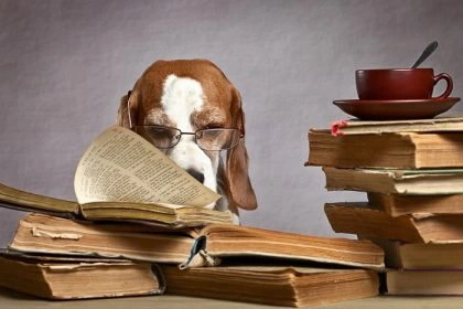 GoUp-featured-dog-reading-stack-of-books